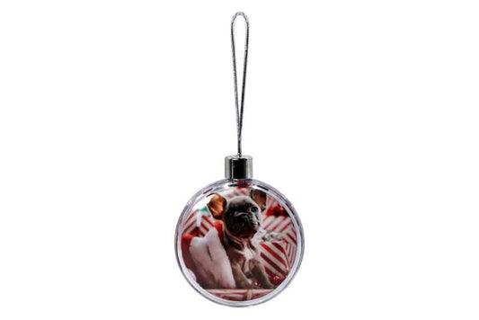 Photo Ornament Hanging